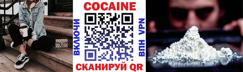 Купить закладки  Северо-Курильск  Кокаин FishScale 