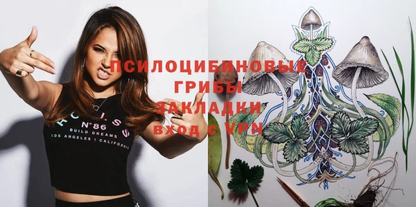 mdma Бородино