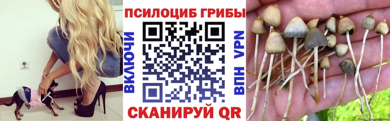 Галлюциногенные грибы Magic Shrooms  Купить закладки  Северо-Курильск 